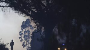 Υπό έλεγχο η πυρκαγιά στην Πορτογαλία