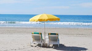 "Από ποτέ οι παραλίες έγιναν restaurant και θα πρέπει να κάνουμε κράτηση για μια ξαπλώστρα;"