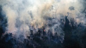 Αποψίλωση ρεκόρ του δάσους του Αμαζονίου