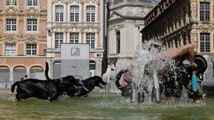 Ευρώπη: Νέο κύμα καύσωνα με θερμοκρασίες άνω των 30 βαθμών κελσίου