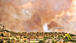 Φωτιά στην Αργολίδα: Κοντά στα σπίτια οι φλόγες - Εκκενώθηκε ξενοδοχείο