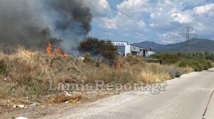  Επικίνδυνη πυρκαγιά στο δρόμο Λαμίας - Ροδίτσας