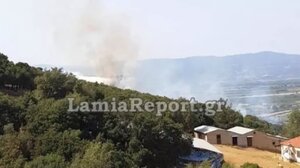 Οριοθετήθηκε η φωτιά στη Συκά Φθιώτιδας