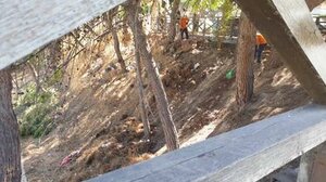 "Εύγε", όχι μόνο παράπονα!