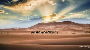 Με μια φωτογραφική έκθεση υποδέχεται τα νέα μέλη η Ε.Φ.Ε.Η. 