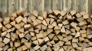 Άγνωστοι έκλεψαν είκοσι τόνους καυσόξυλα