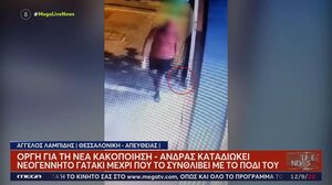 Δεύτερο βίντεο από τη βάναυση θανάτωση νεογέννητης γάτας στη Θεσσαλονίκη