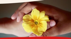 Εθελοντική Αιμοδοσία σε Λότζια και πλατεία Ελευθερίας