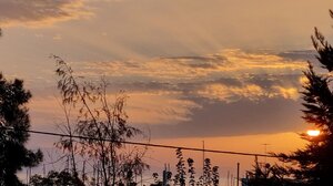 Οκτώβριος, ο μήνας των Χρωμάτων, των Χρυσανθέμων και των κυκλάμινων!