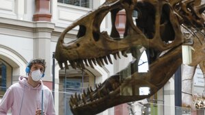 Γερμανία: Νέα διαμαρτυρία ακτιβιστών για το κλίμα