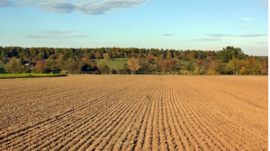 Βρήκε τον πατέρα του νεκρό στο χωράφι