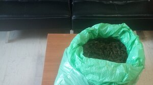 Έκρυβαν στο μιτάτο 2 κιλά χασίς