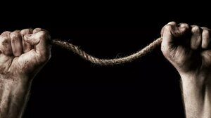 Αστυνομικοί της ΔΙΑΣ "κράτησαν" στη ζωή 46χρονο Ηρακλειώτη - Είχε ήδη περάσει τη θηλιά σε δένδρο