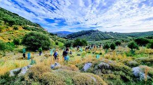 Φύτεψαν δέντρα ... και χαρά!