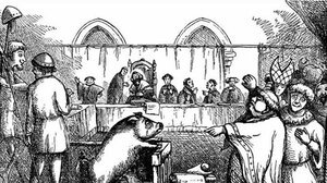 Όταν οι άνθρωποι δίκαζαν τα ζώα - Δείτε βίντεο