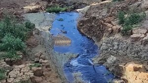 Eλαιουργείο "φράκαρε" με κατσίγαρο το βιολογικό καθαρισμό - "Έρχονται" μηνύσεις