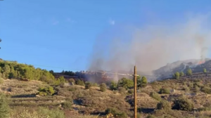 Αίγινα: Φωτιά σε χαμηλή βλάστηση - Δεν απειλεί οικισμούς