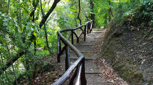 Ολοκληρώθηκε η συντήρηση και ανάδειξη των πεζοπορικών του διαδρομών του Δ. Πλατανιά