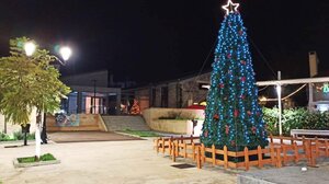 Φωταγωγήθηκε το δέντρο των Αρχανών