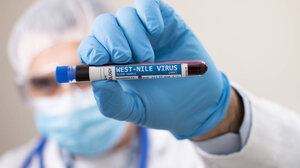 Ο ΕΟΔΥ για τον Ιό του Δυτικού Νείλου: Κανένα νέο κρούσμα την τελευταία εβδομάδα