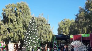 Ηλιόλουστα Χριστούγεννα, με... ανοιξιάτικες θερμοκρασίες!