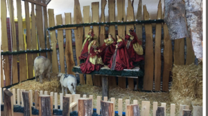 Παρέμβαση Εισαγγελέα για τα ζώα που “στολίζουν” την φάτνη