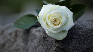 Θλίψη για τον θάνατο του Εμμανουήλ Κουτουλάκη