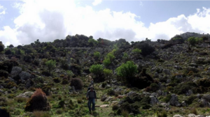 Στο Δάσος του Κρούστα ο Πεζοπορικός Όμιλος Ηρακλείου