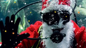 Χριστούγεννα στο Ενυδρείο Κρήτης 