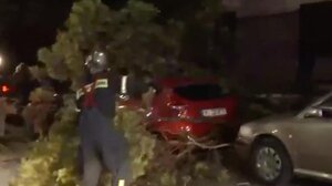 Gaia: Πτώσεις δέντρων στην Κρήτη - Πού θα «χτυπήσει» σήμερα η κακοκαιρία