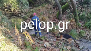 Χωρίς τις αισθήσεις του εντοπίστηκε ο 59χρονος αγνοούμενος στις Βελιτσές