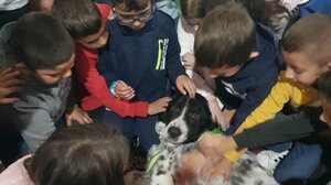 Η ΖΩΦΟΡΟΣ εκπαιδεύει το Δημοτικό Σχολείο Βώρων !