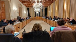 Αυτά είναι τα 30 δέντρα που θα κοπούν με απόφαση του Δημοτικού Συμβουλίου