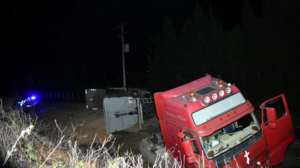 Γέμισε ο δρόμος σιτηρά μετά από ανατροπή φορτηγού