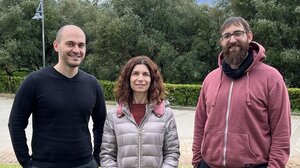 ΙΤΕ: Ένα βήμα πιο κοντά στην εξιχνίαση της λειτουργίας του εγκεφάλου