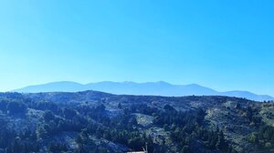 Ανησυχία για τις "εκτός εποχής" εικόνες στον Ψηλορείτη