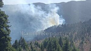 Πυρκαγιά σε ελατοδάσος του Τυμφρηστού