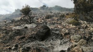 Έτρεχε και... δεν έφτανε η Πυροσβεστική στα Χανιά!