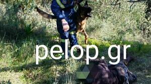Αχαΐα: Παραπάτησε και εξαφανίστηκε!