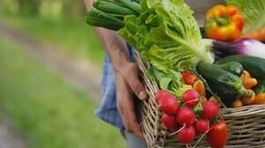 Απαγόρευση φύτευσης λαχανικών σε κήπους σπιτιών, λόγω του νερού!