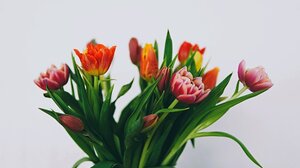 Εορτολόγιο: Ποιοι γιορτάζουν σήμερα 31 Μαρτίου