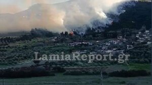 Μεγάλη πυρκαγιά στη Μενδενίτσα - Ζητήθηκε η συνδρομή από αέρος