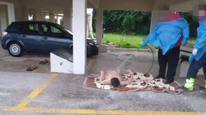 Εικόνες ντροπής στον Ωρωπό: Νοσηλευτές έπλεναν 70χρονη γυναίκα με λάστιχο σε πυλωτή