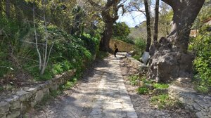 Δεν έχουν τέλος οι διασώσεις τουριστών που θέλουν να γευτούν την περιπέτεια στην Κρήτη!