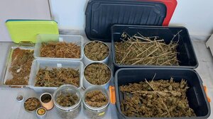 Έφοδος σε σπίτι "έβγαλε" ένα κιλό κάνναβης