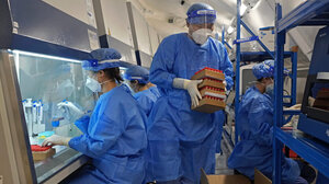 COVID: Ένα βασικό στοιχείο για την προέλευση του ιού «δεν είναι προσβάσιμο» στη διεθνή κοινότητα