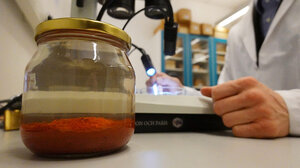 Γνωστό μπαχαρικό καταπολεμά αποτελεσματικά την δυσπεψία 