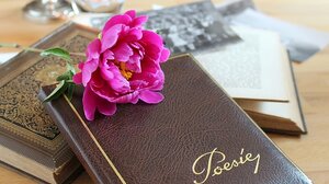 Παγκόσμια Ημέρα Ποίησης: «Η Σονάτα του Σεληνόφωτος» του Γ. Ρίτσου στο Κ.Α.Μ.