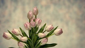  Εορτολόγιο: Ποιοι γιορτάζουν σήμερα 13 Μαρτίου 