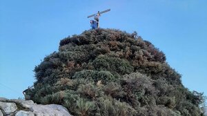 Ο Αρφανός θα ανάψει και φέτος!